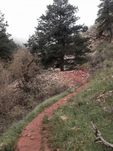 Skunk Canyon Trailhead